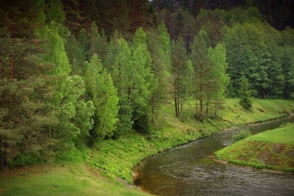 Maršrutas Baltosios Ančios upe
